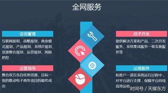 全网数商 产业互联网创新典范，引领电商技术服务新纪元